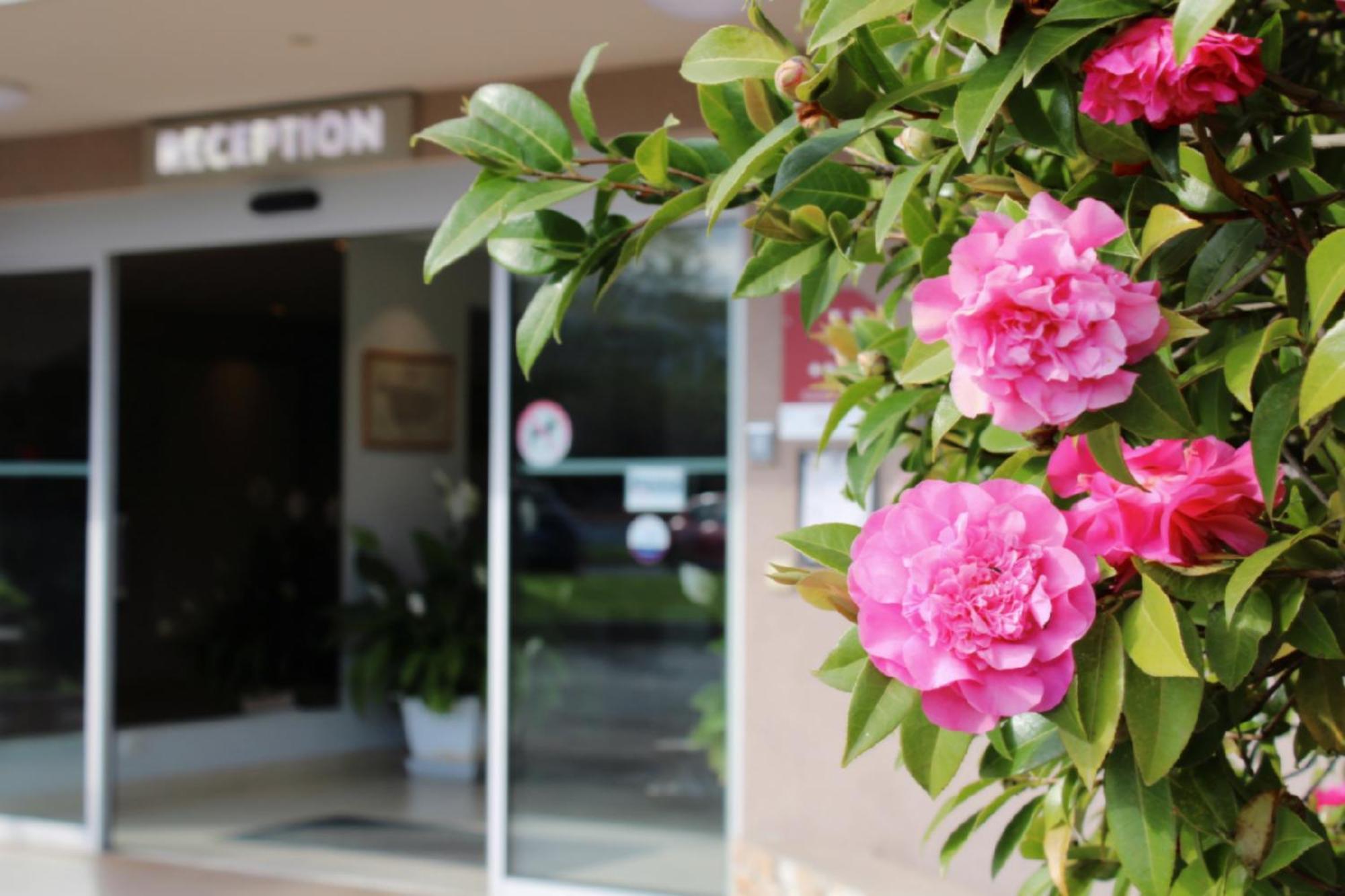 Hotel Poretta Lucciana  Exterior photo